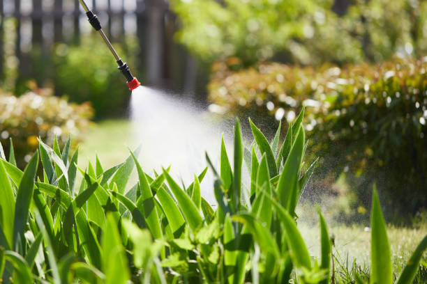 24/7 Emergency Ant Control experts in Monsey, NY